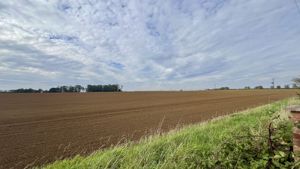 Photo 1- click for photo gallery